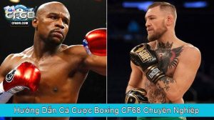 Hướng Dẫn Cá Cược Boxing CF68 Chuyên Nghiệp