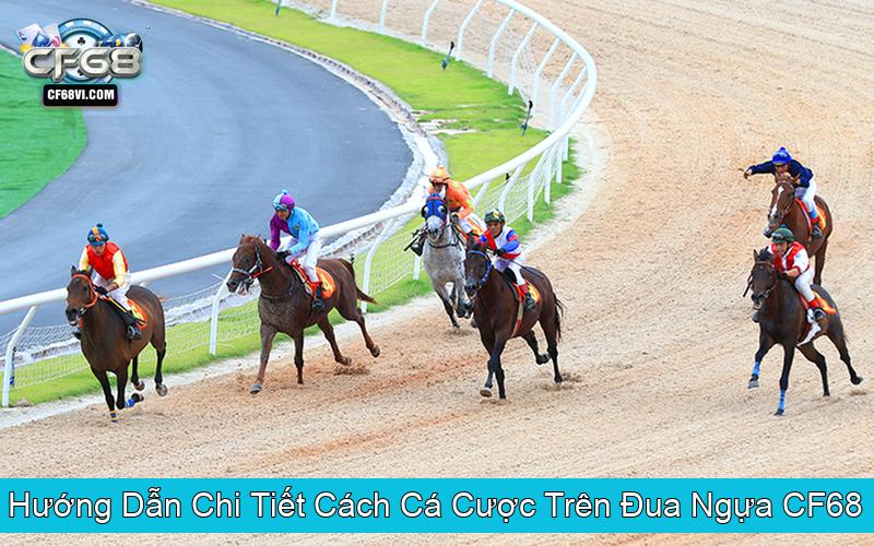 Hướng Dẫn Chi Tiết Cách Cá Cược Trên Đua Ngựa CF68
