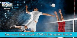 Mẹo cược bóng chuyền CF68 từ trải nghiệm thực tế